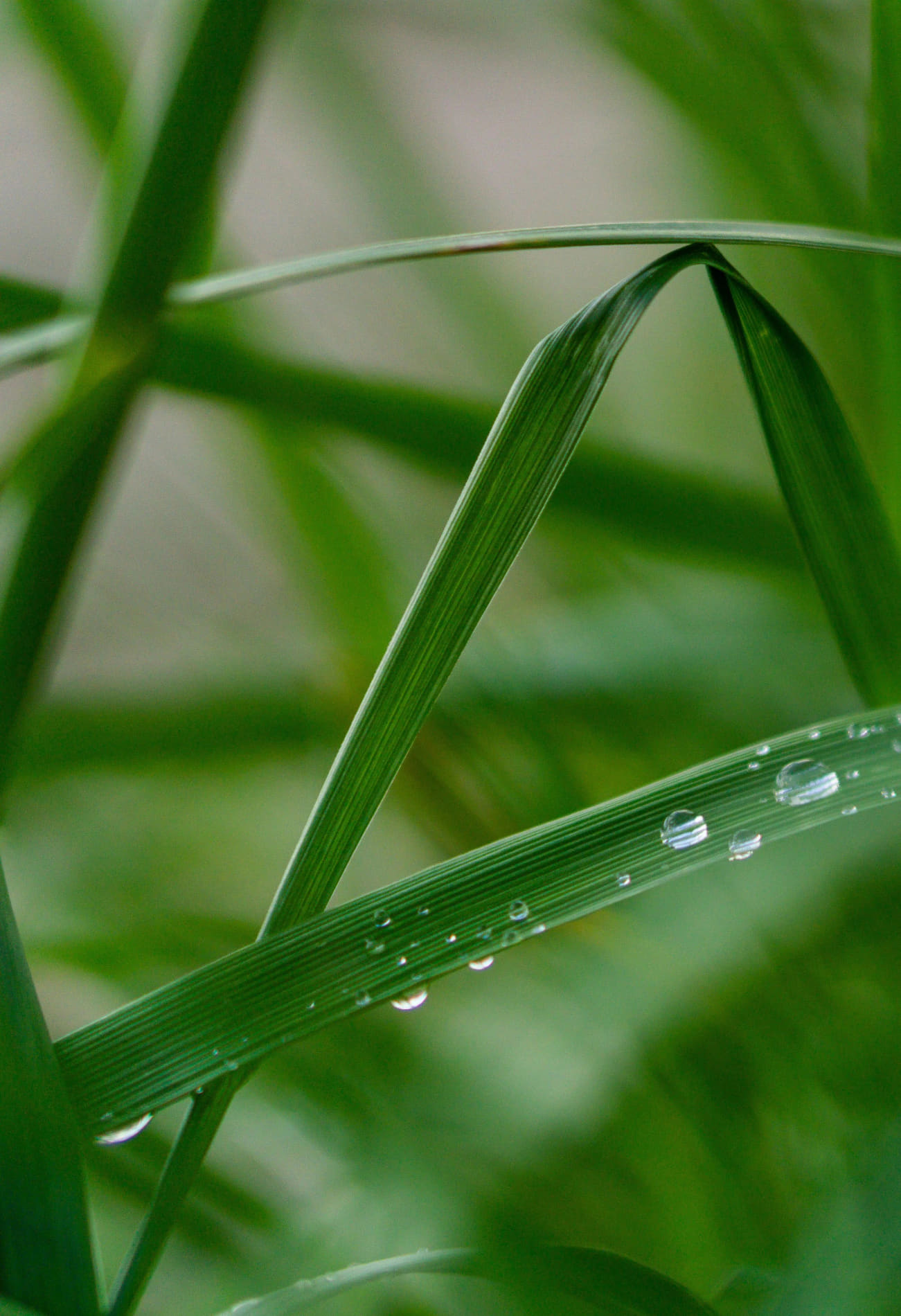 A serene natural scene in warm daylight.