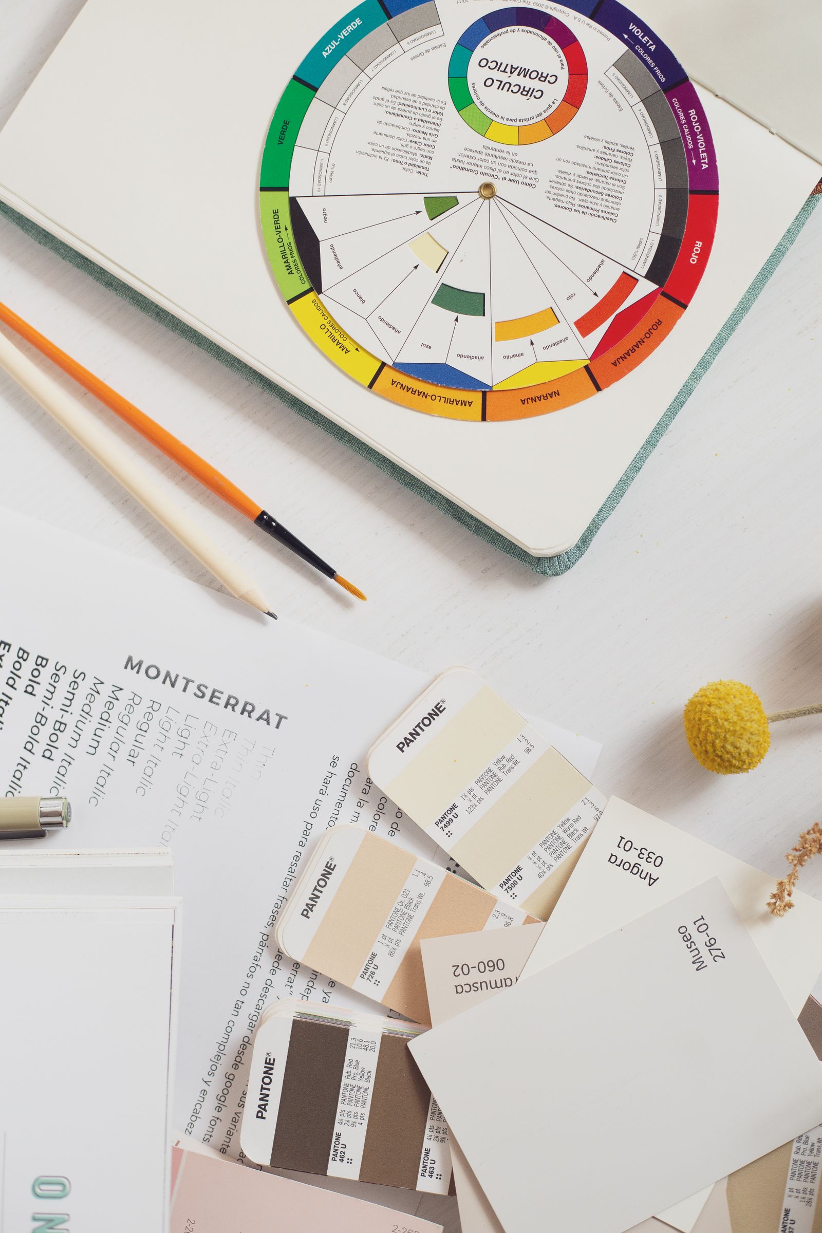 Brand identity materials on a designer's desk