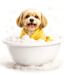 A dog enjoying an Ultimutt spa session