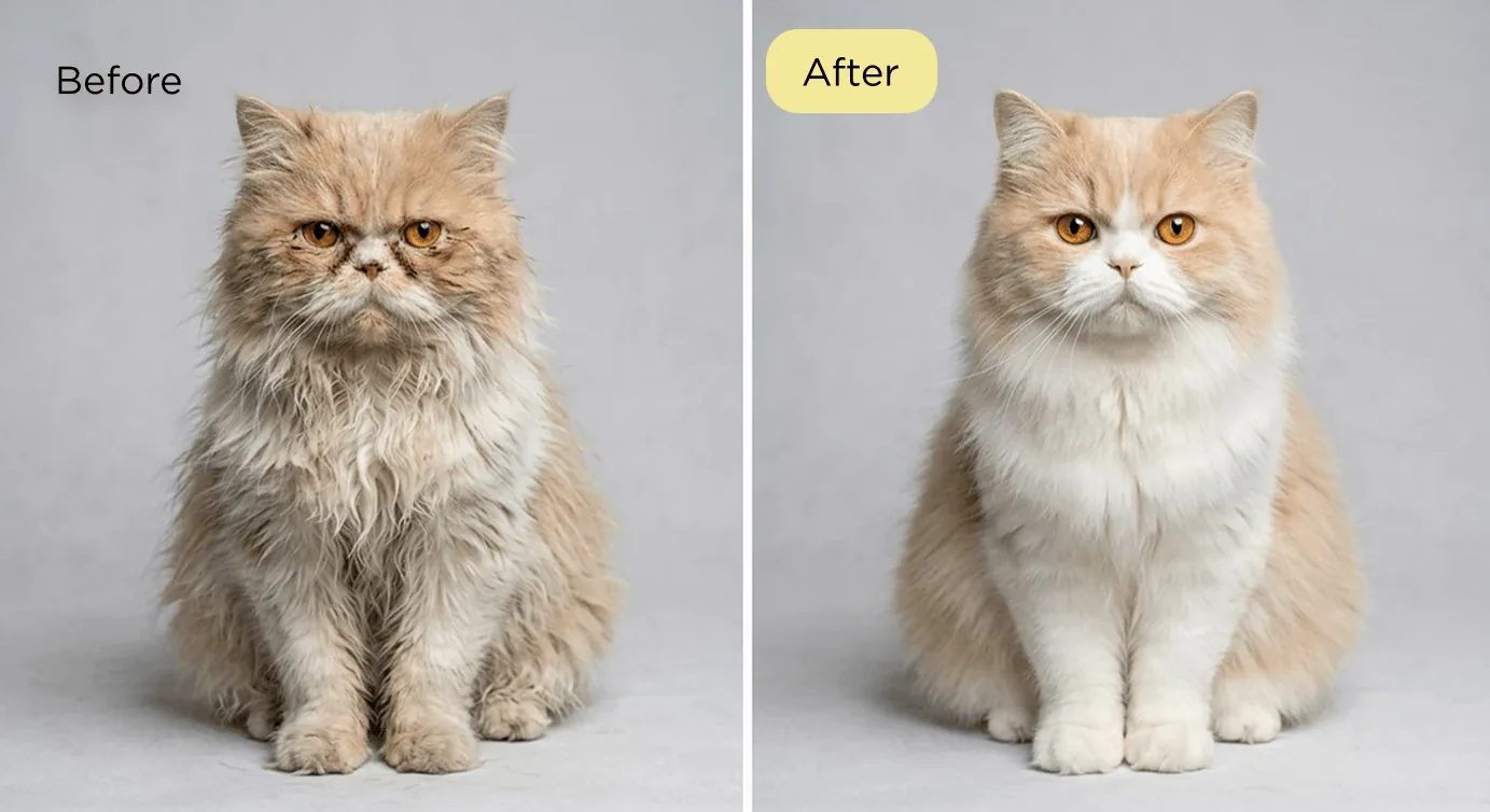 Before and after transformation 1