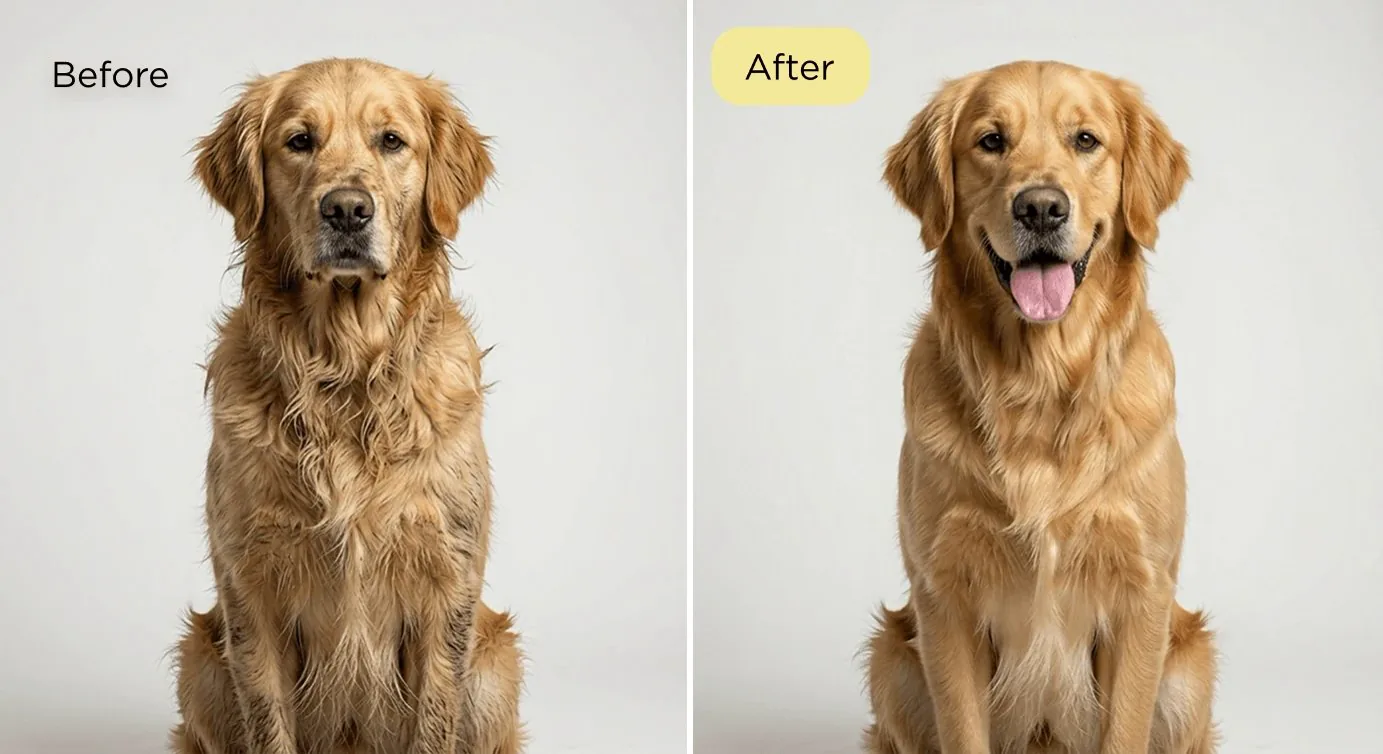Before and after transformation 2