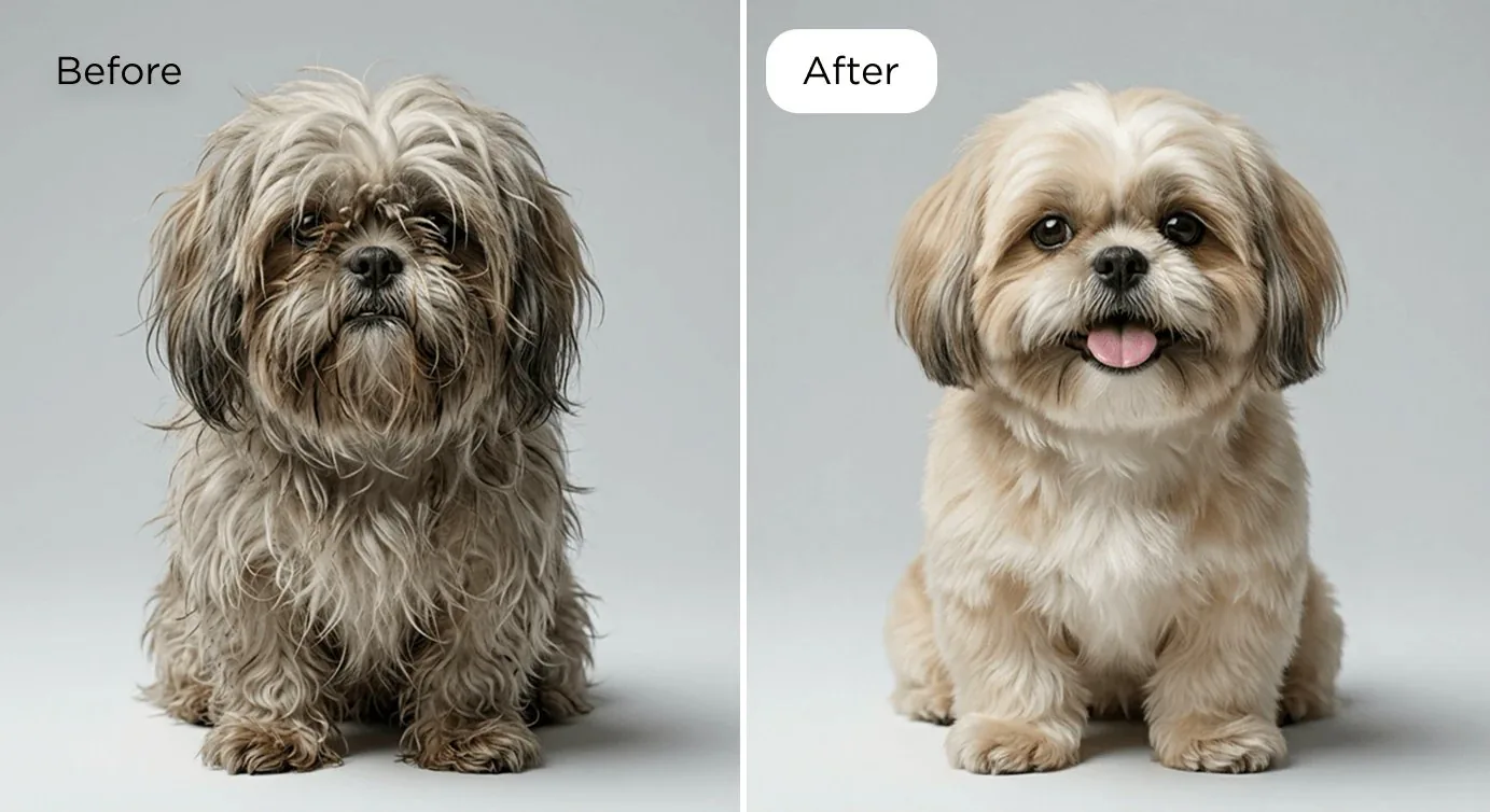 Before and after transformation 3